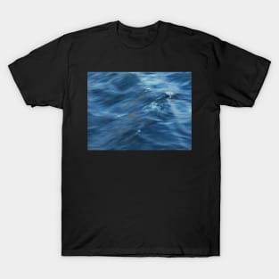 A River Flows Gently By T-Shirt